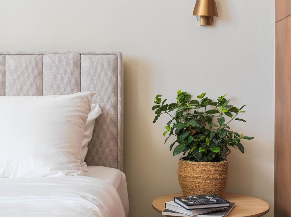 LIV Mackenzie Beach Suites Superior Studio Suite 6