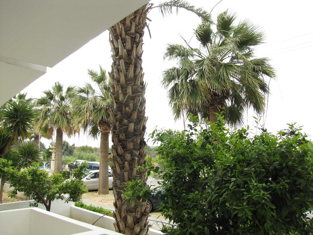 Apartment, 1 Bedroom, Pool Access