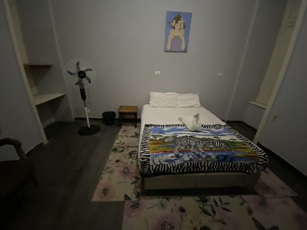 undefined Cairo central house 4