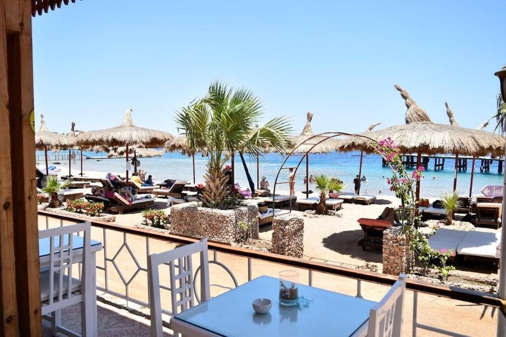 undefined sunshine diving center 2