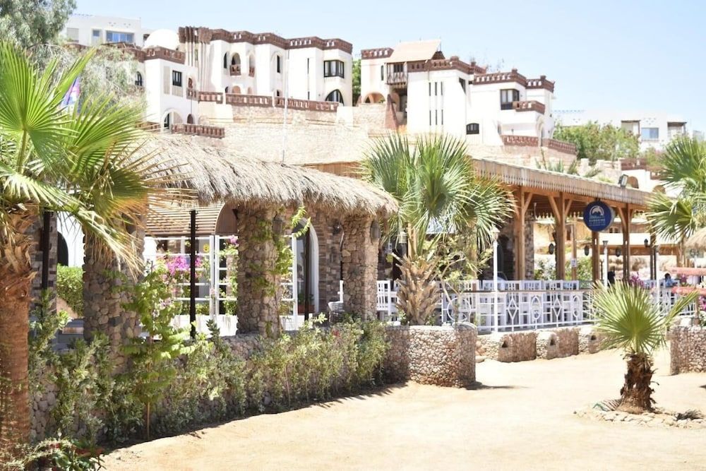 undefined sunshine diving center