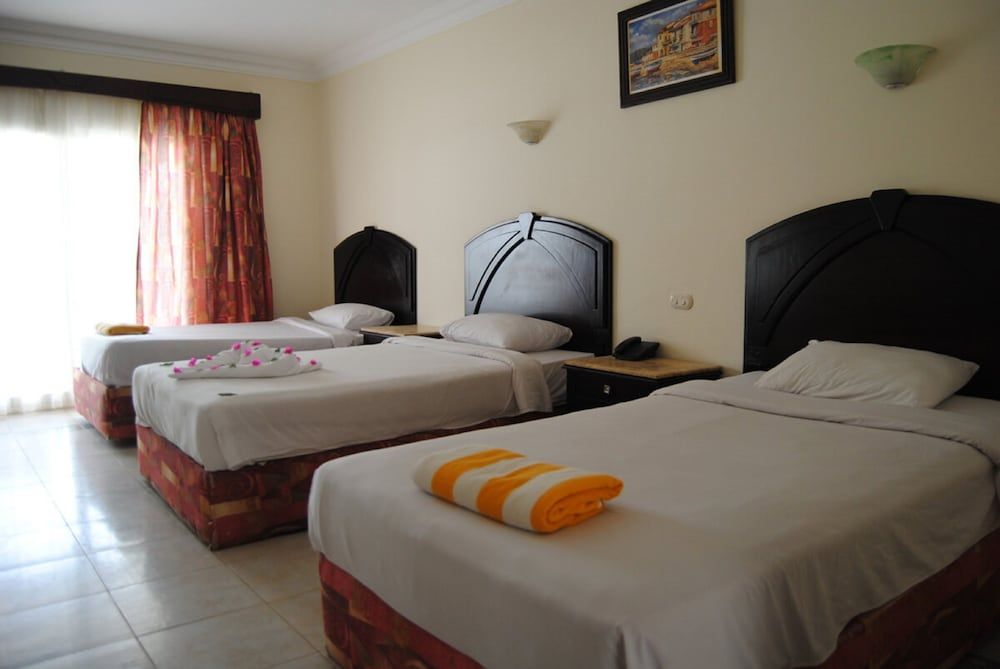 Viva Sharm Hotel Superior Room 4