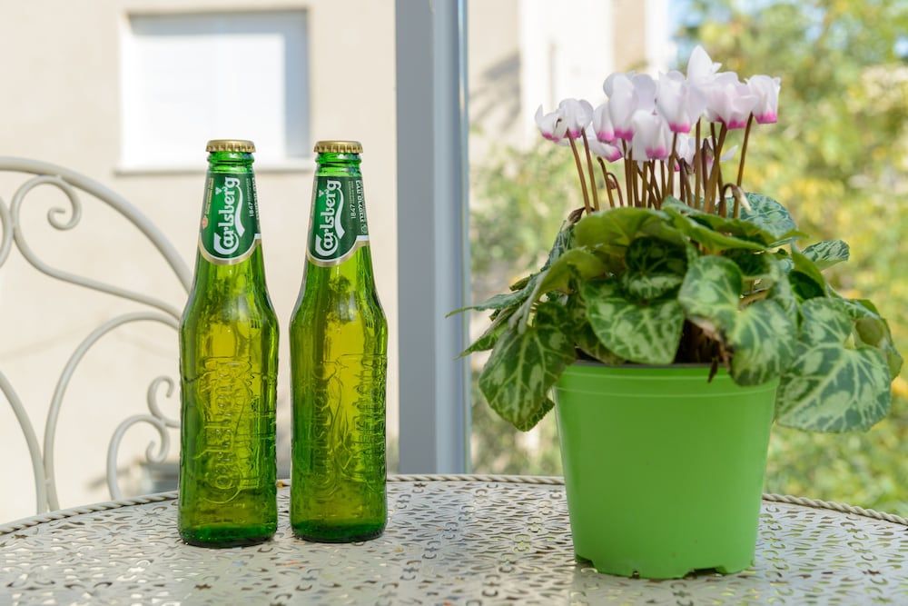 Spacious Modern Apt 1 Step To Beach Classic Apartment, 2 Bedrooms 18