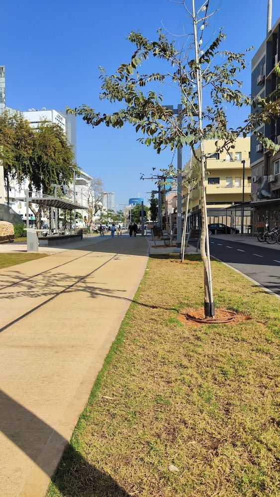 undefined De Picciotto Suites 10