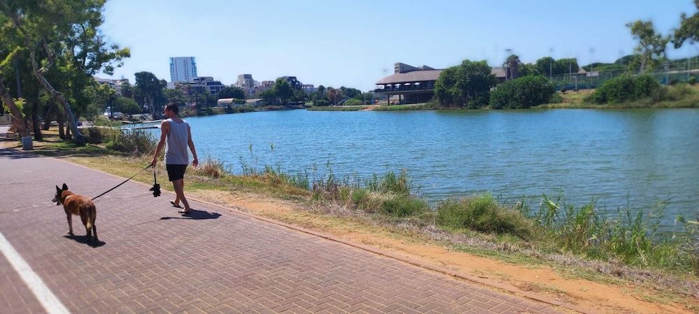 undefined 3 Br by park hayarkon 1min  2 Ichilov 4