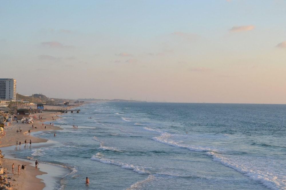 Masaryk Musk in Bat Yam Apartment 26