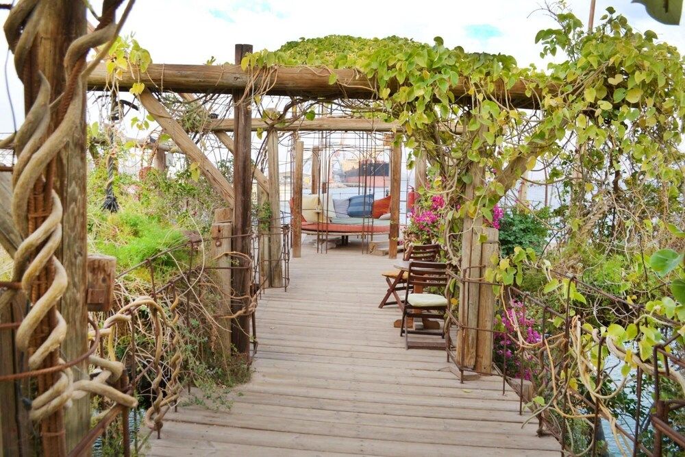 undefined Ein Bokek Rose in Eilat 4