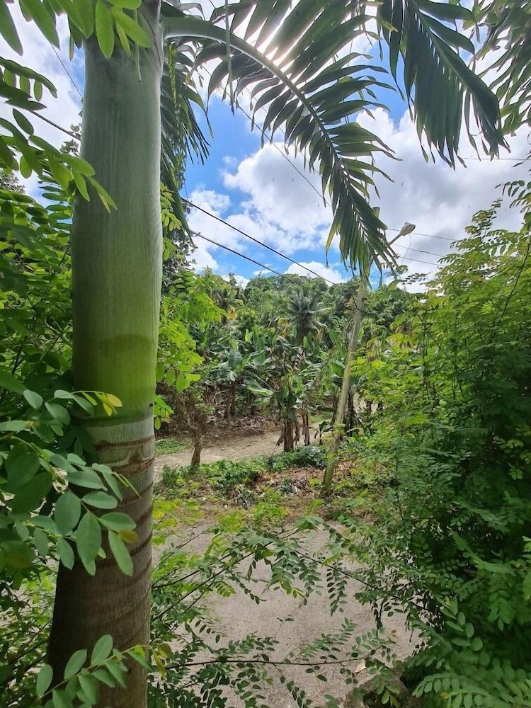 Xpress Vacations Lifestyle Luxury Apartment 9