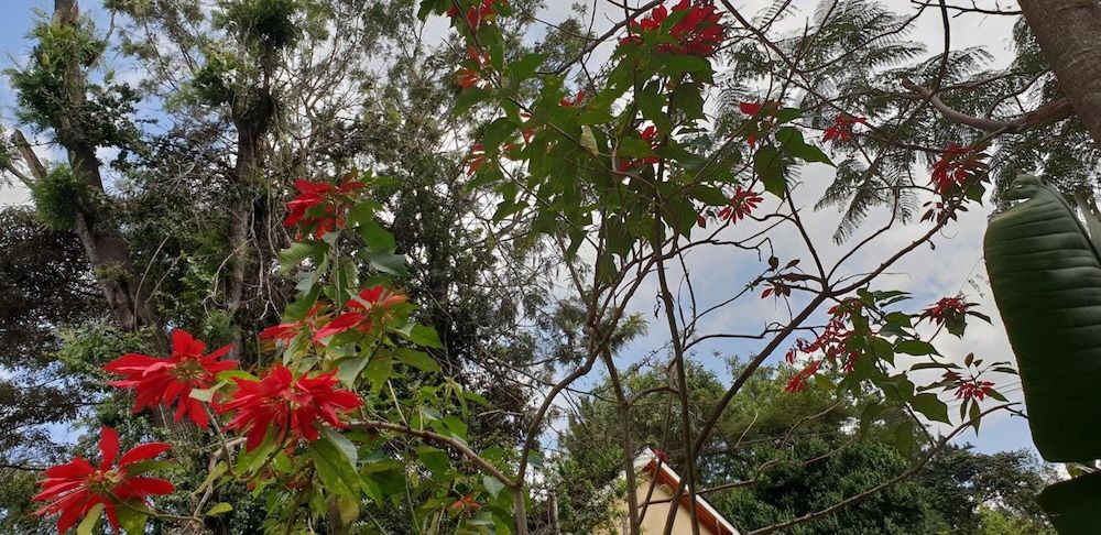 undefined Spurwing Guest House 3