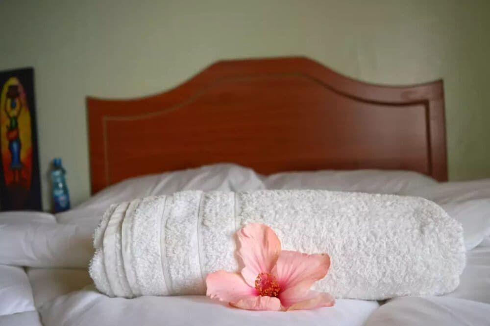 Sanet Hotel Double Room, 1 Double Bed, Non Smoking 7