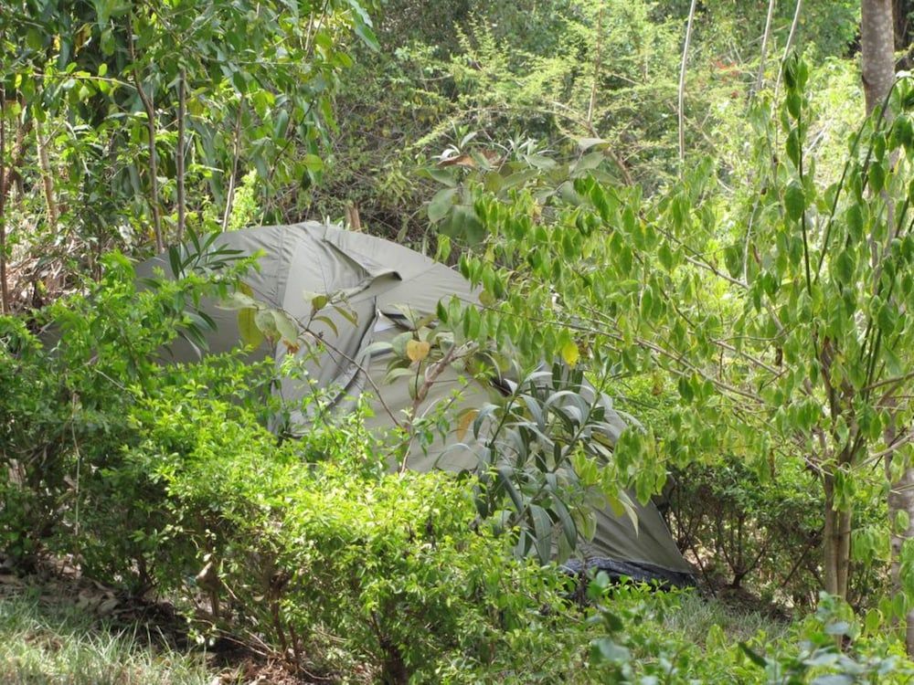 undefined Scenic View Hotel & Resort 8