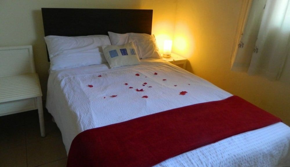 undefined Back to Africa House 9