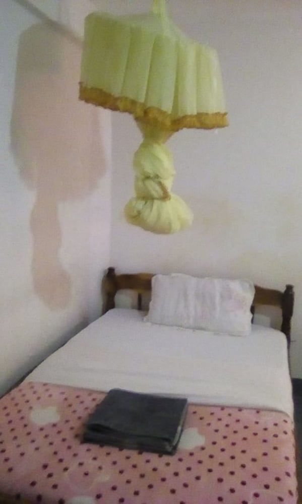 undefined Evening Dew Guest Palour 4