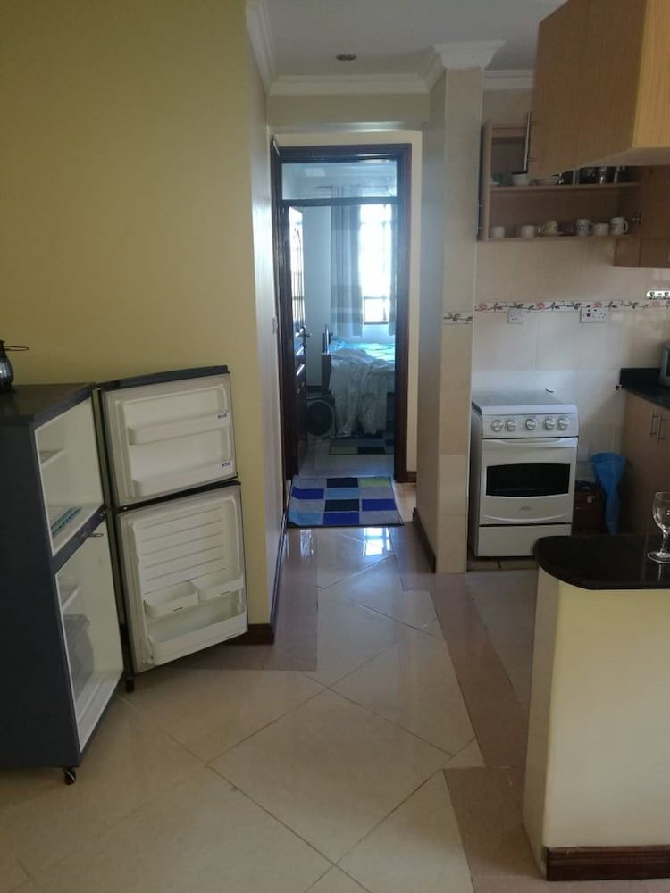 Gracious Apartment Classic Apartment 4