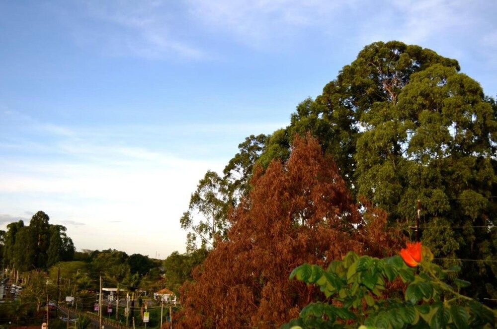 undefined Gigiri Express Hotel