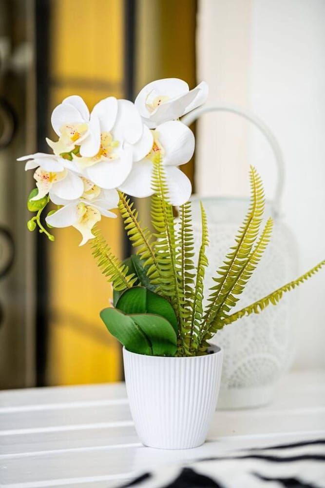 Modern 3-bed Apartment in the Heart of Nairobi Apartment 16