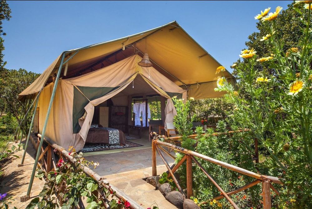 Rhino Watch safari Lodge Family Chalet, Non Smoking 4