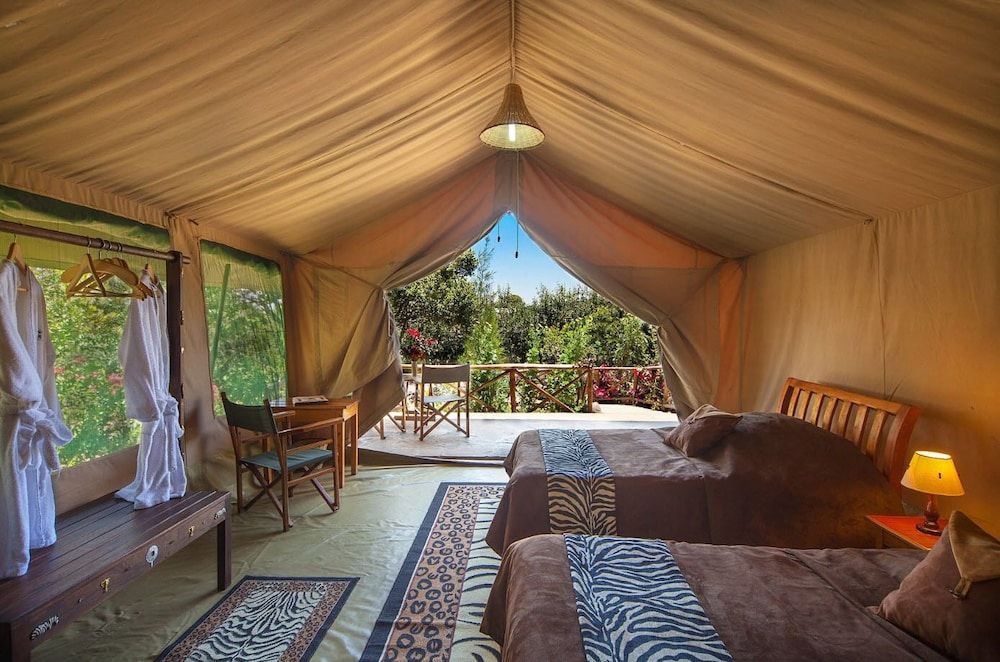 Rhino Watch safari Lodge Family Chalet, Non Smoking 2