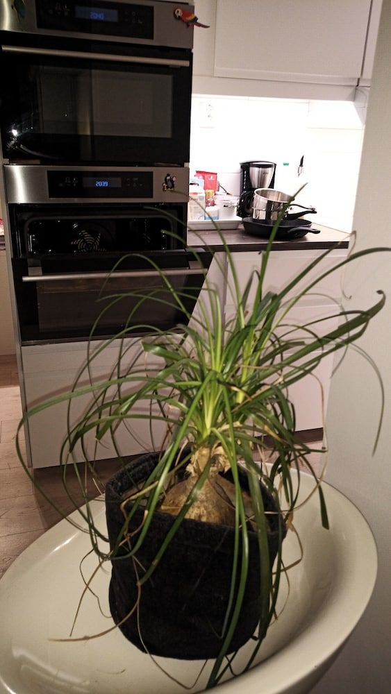 Central and cozy apartment in Oslo - Hostel City Room, 1 Bedroom, Shared Bathroom 8