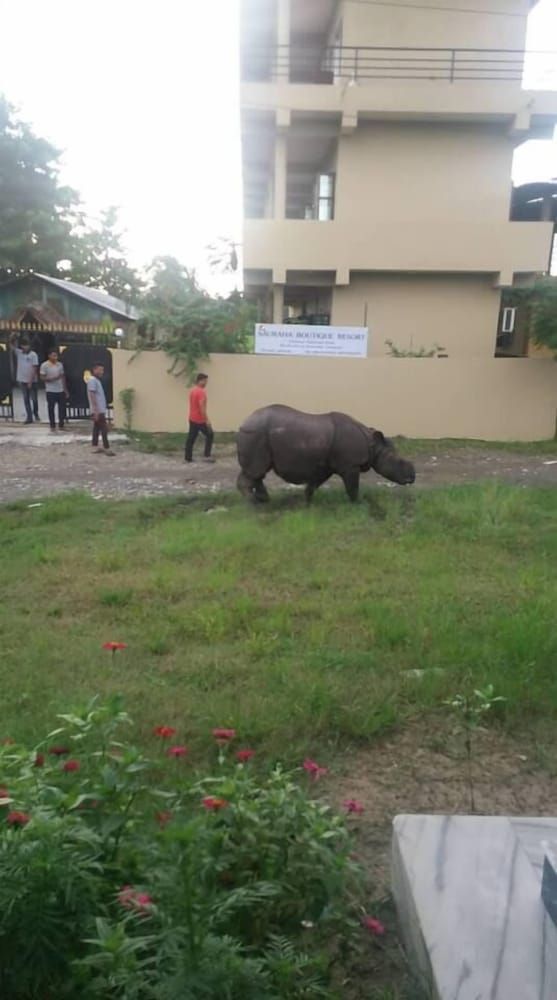 undefined Sauraha Boutique Resort 5