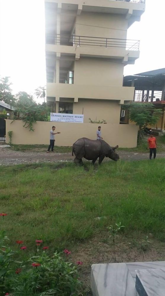 undefined Sauraha Boutique Resort 9
