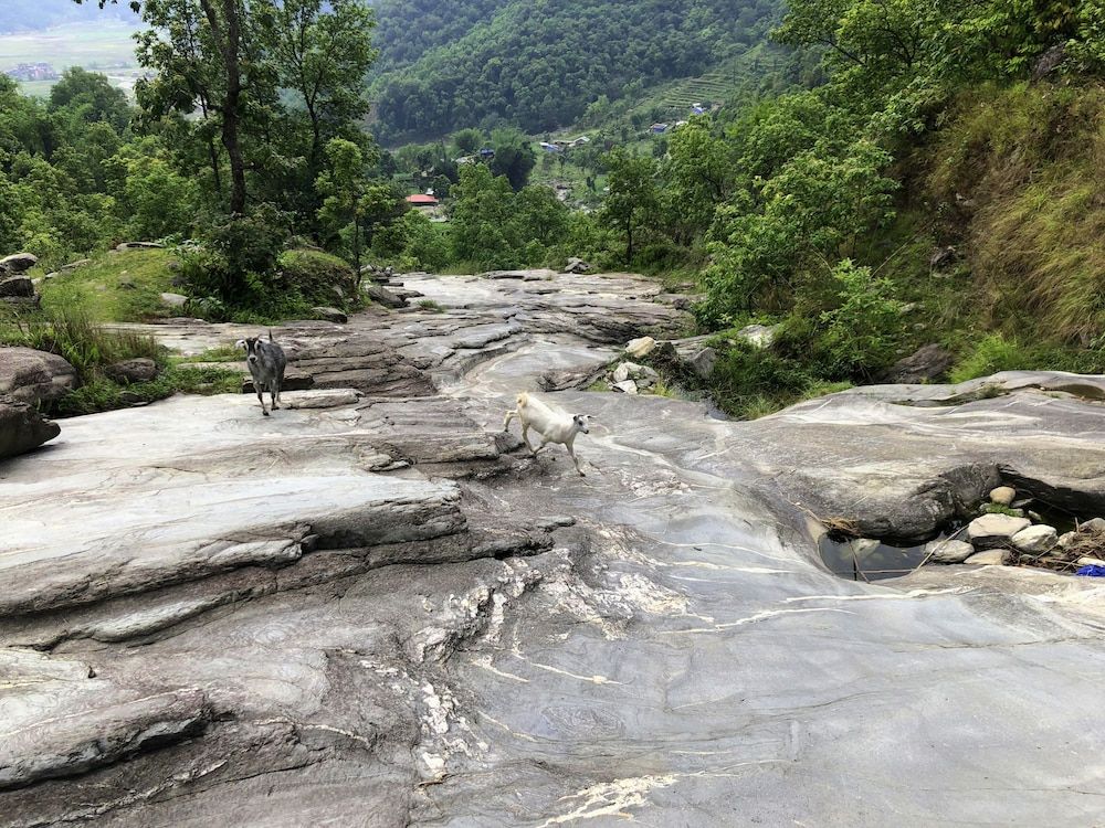 undefined Indreni organic farm and homestay - Hostel 7