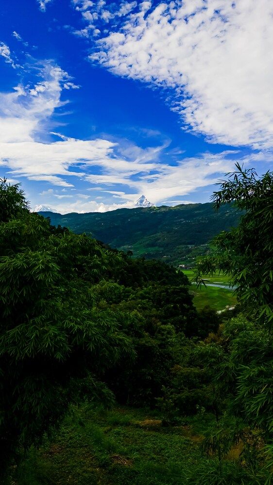 undefined The Hidden Camp 5