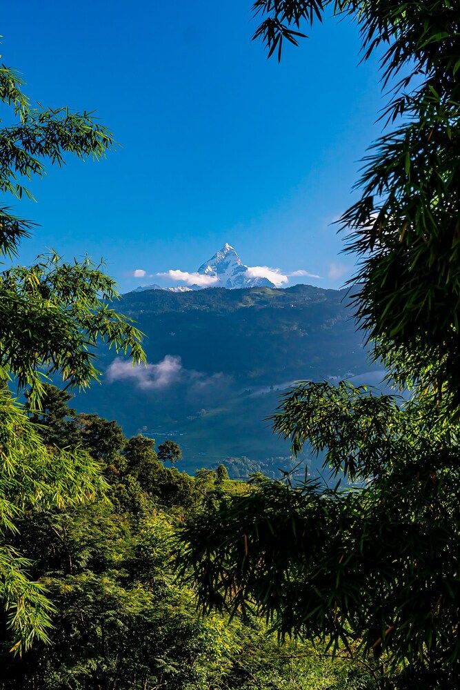 undefined The Hidden Camp 8