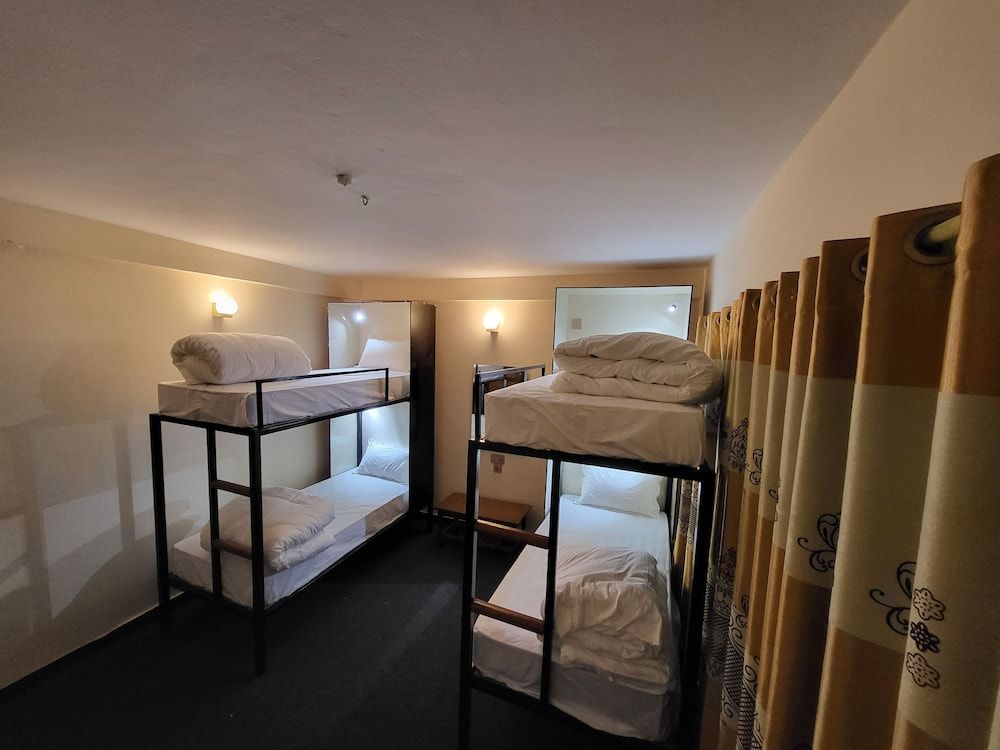 undefined Dharma Backpackers