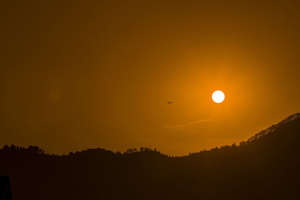 undefined Zostel Kathmandu 5