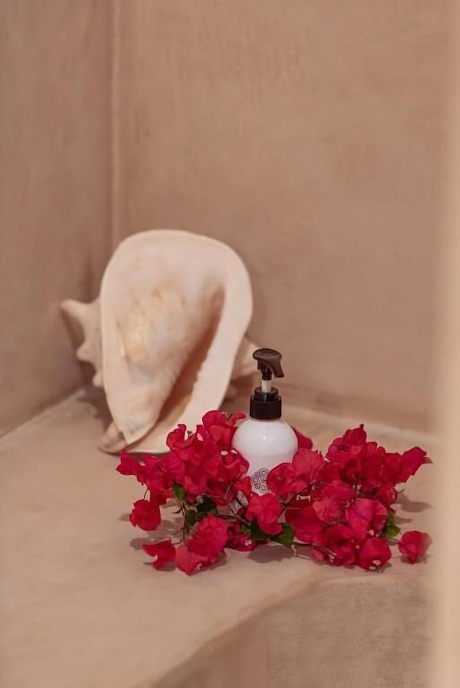 Zoi Retreat Hotel Zanzibar Two Bedroom Family Room 9