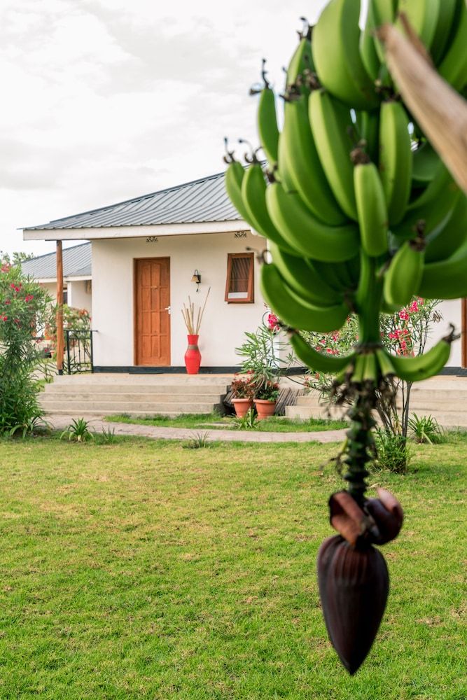 Moyoni Airport Lodge Twin Room, Multiple Beds 5