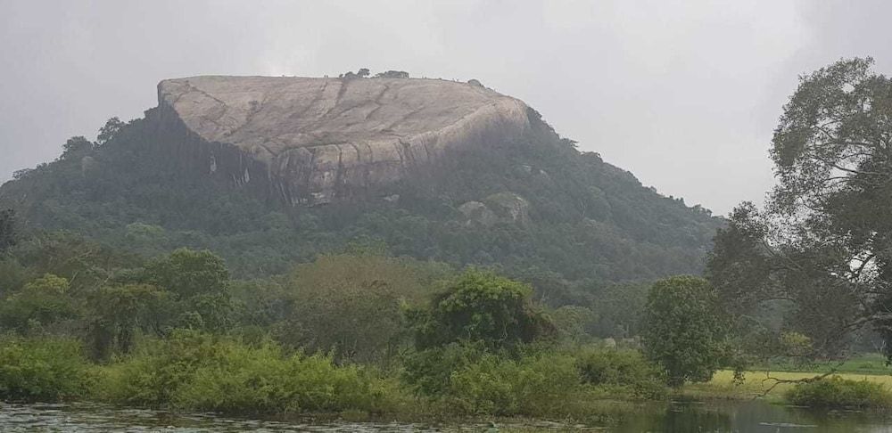 Land View from Property