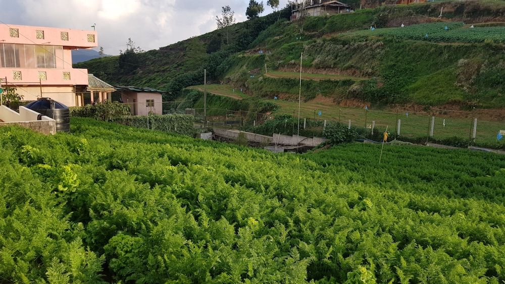 undefined Chandrasobana 8