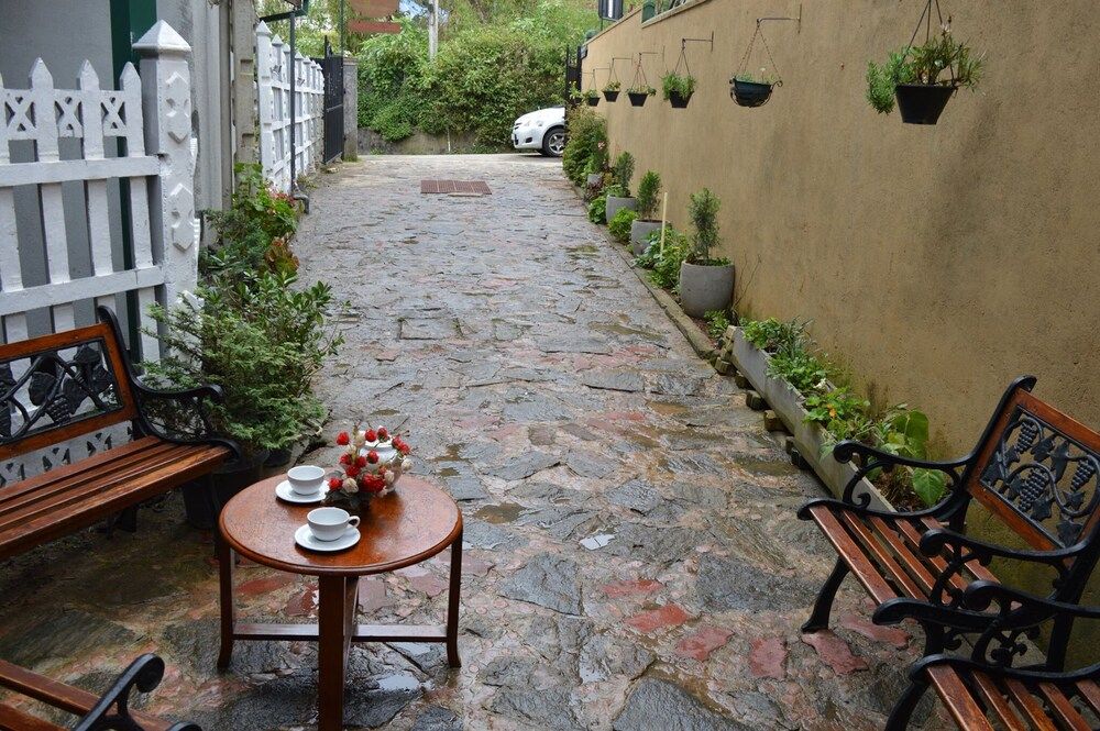 undefined Misty Holiday Nest 2