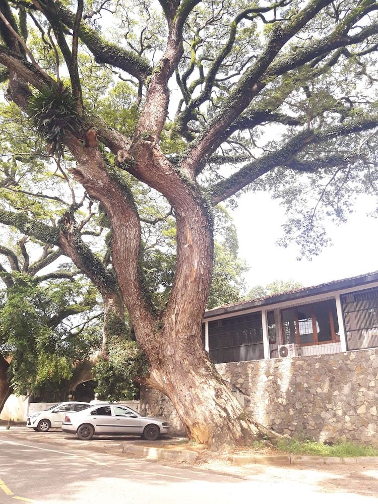 undefined Mrs Pepperpots 4