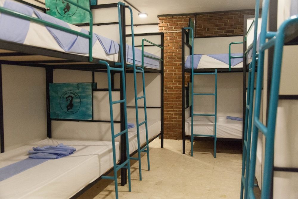 undefined Bunky Monkey - Hostel 10