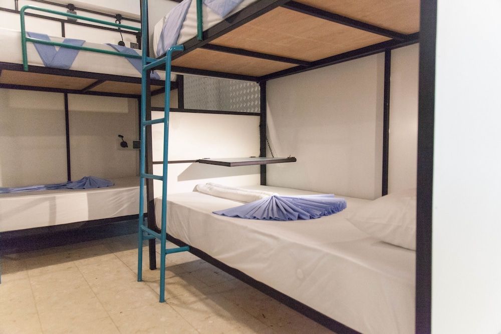 undefined Bunky Monkey - Hostel 7
