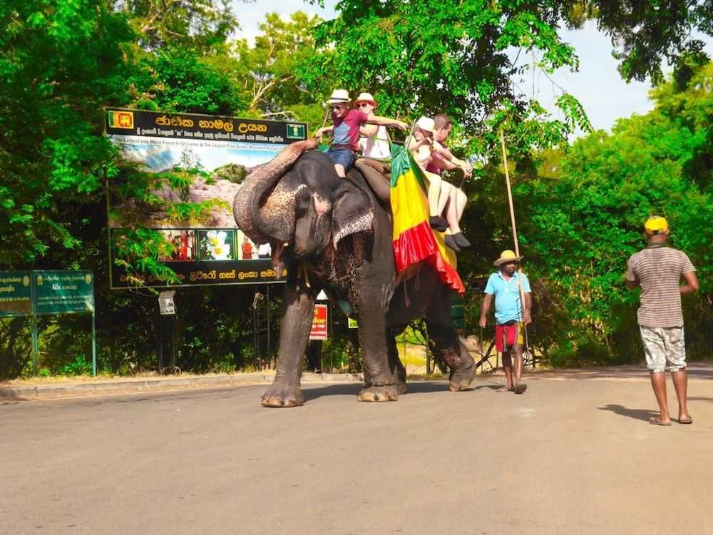 undefined Sigiri Lakshan Home Stay 4