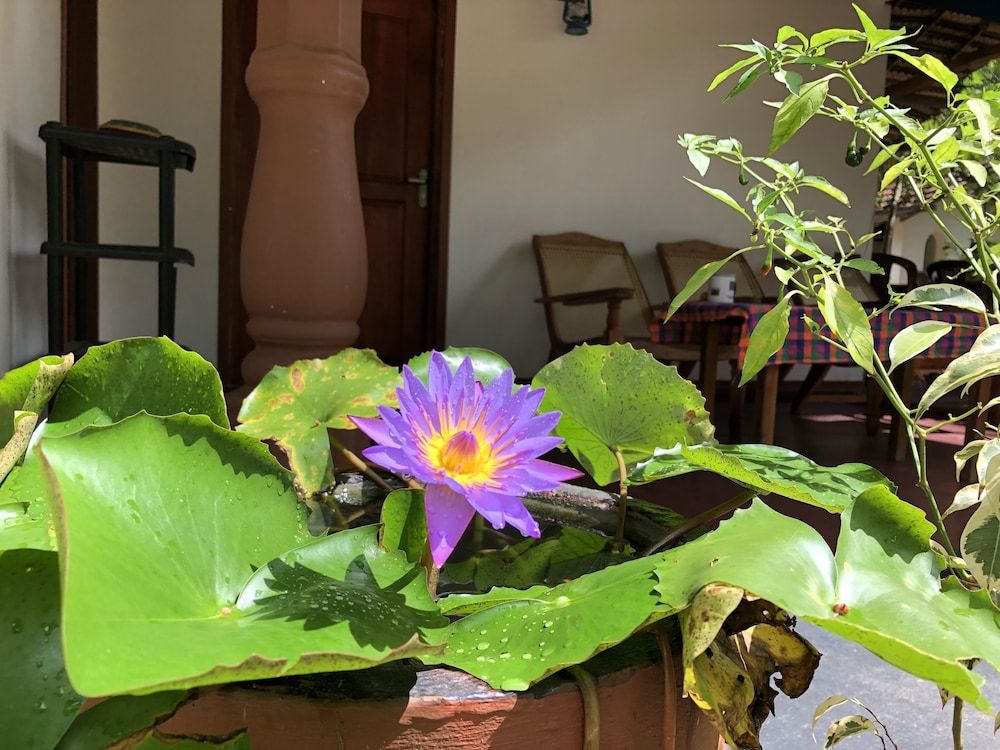 undefined Sigiriya Nature Villa Lodge 5