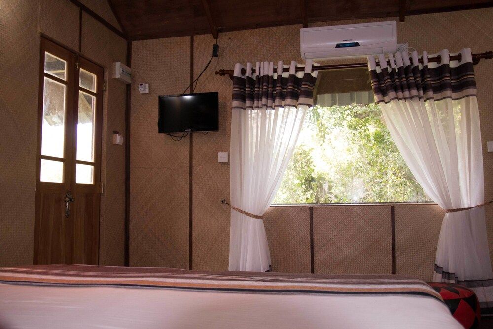 undefined Thick forest sigiriya 3