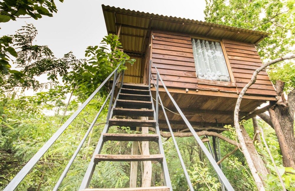 Thick forest sigiriya Standard Tree House 5