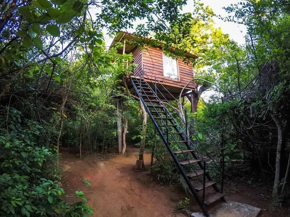 undefined Thick forest sigiriya 9