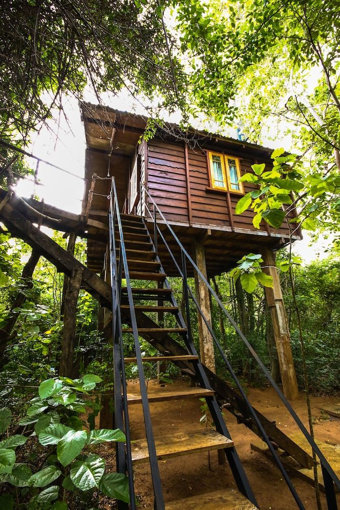 Thick forest sigiriya Luxury Tree House 4