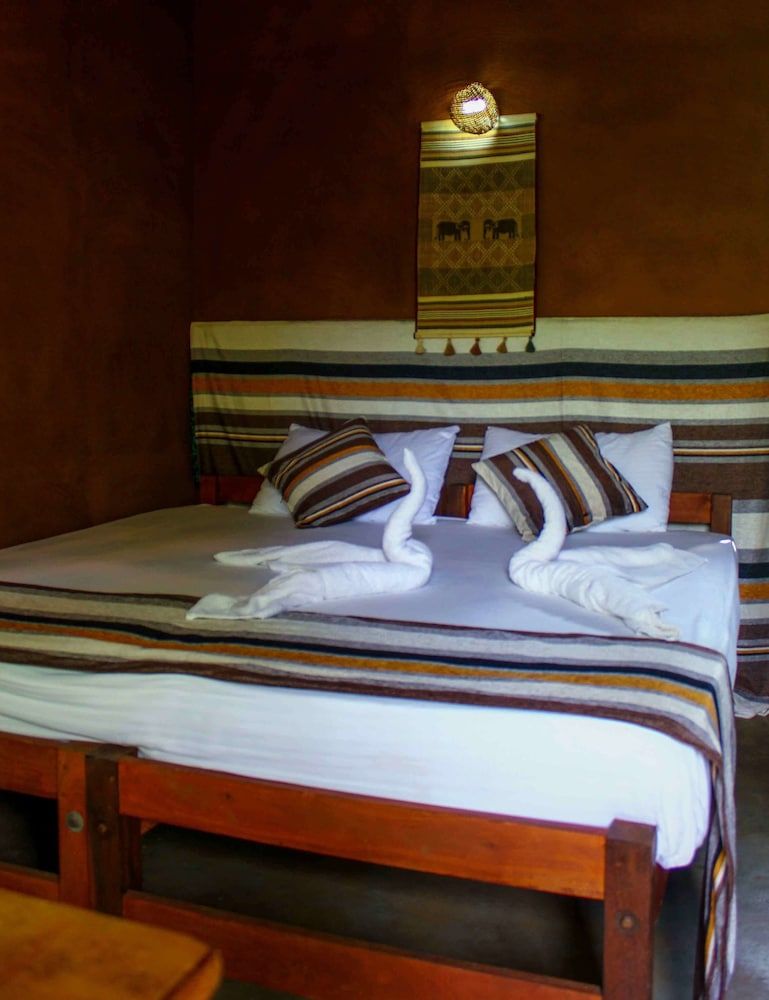 undefined Thick forest sigiriya