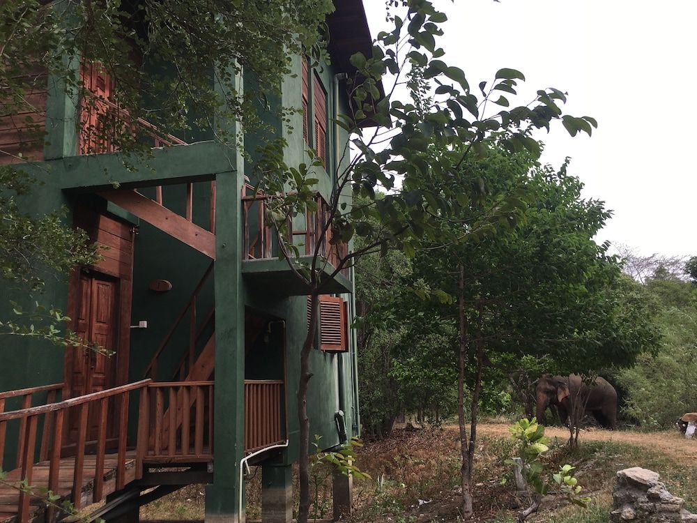 undefined Elephant Hide by Cacao 6