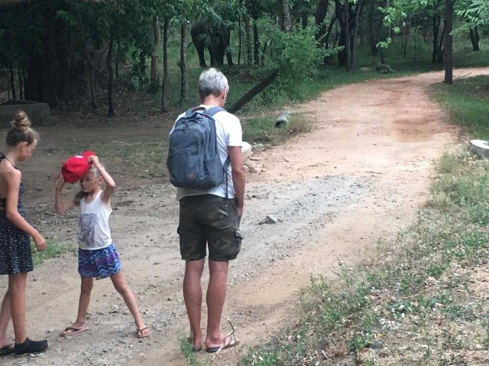 undefined Elephant Hide by Cacao 8