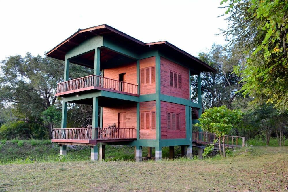 undefined Elephant Hide by Cacao 2