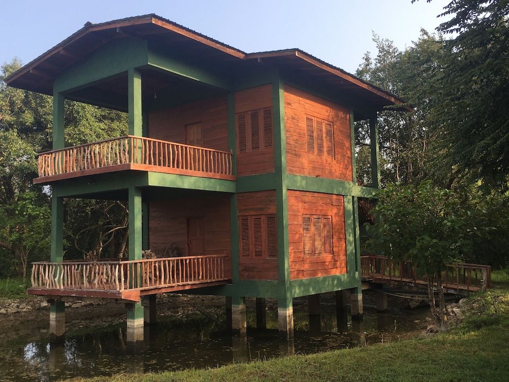 undefined Elephant Hide by Cacao