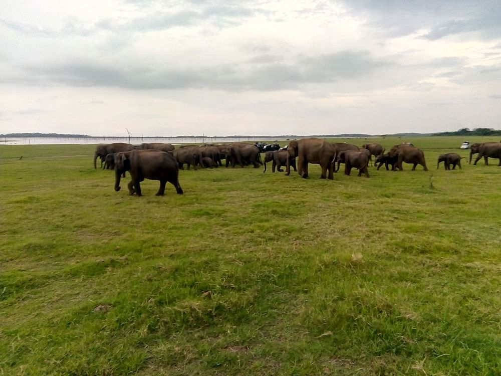 undefined wish prabha lake view lodge 2